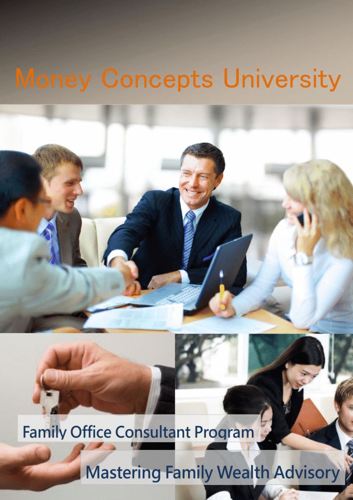 2507 CEO Consultant Flyer EN -1