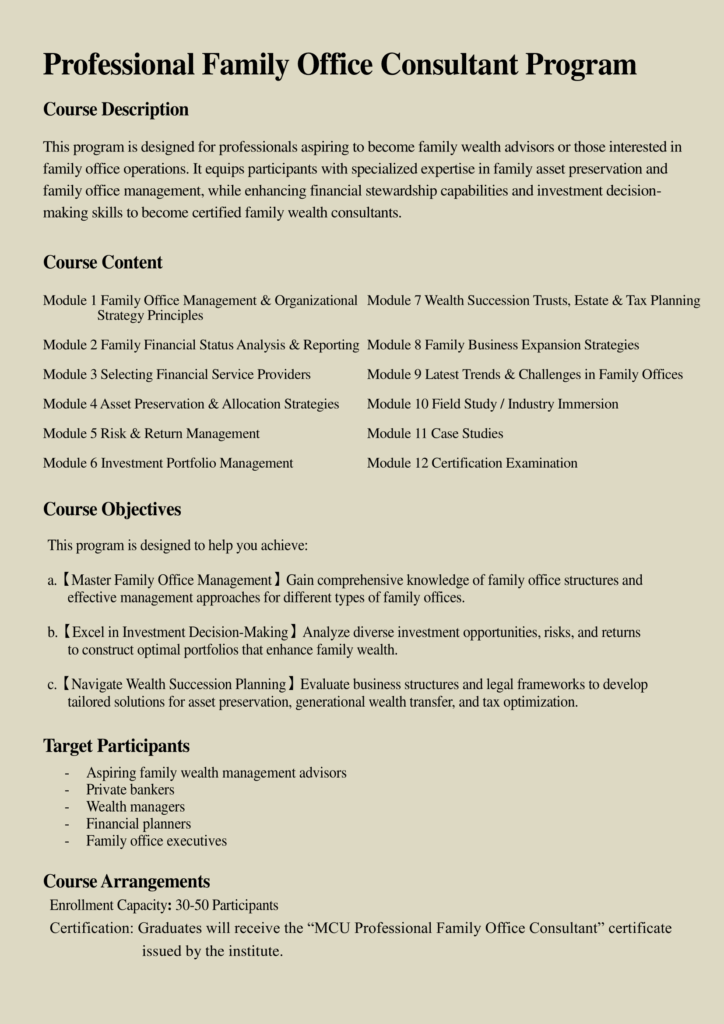 2507 CEO Consultant Flyer EN -2